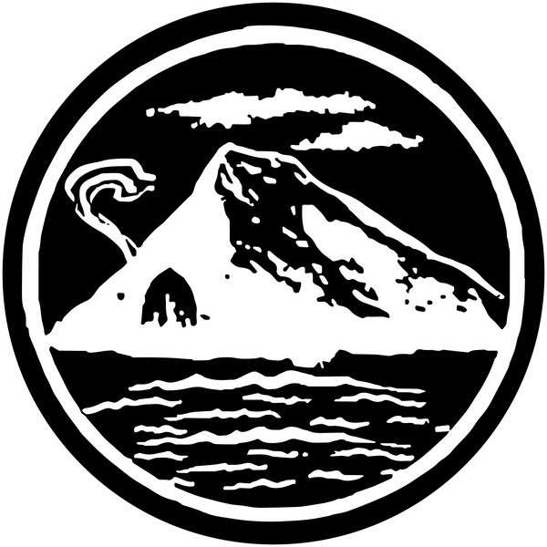 WaveCavePro logo