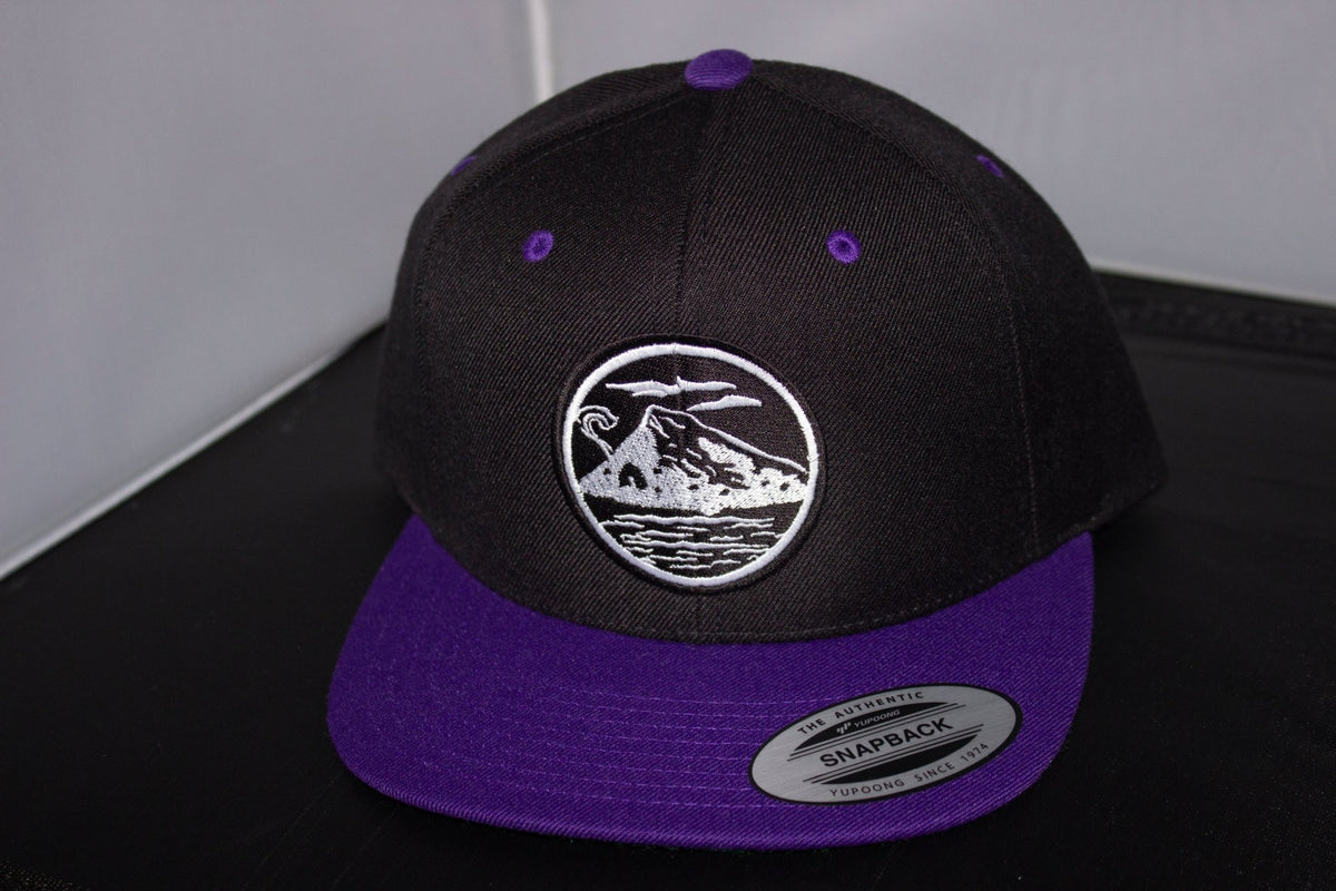 Wave Cave OG Logo Snapback - WaveCavePro
